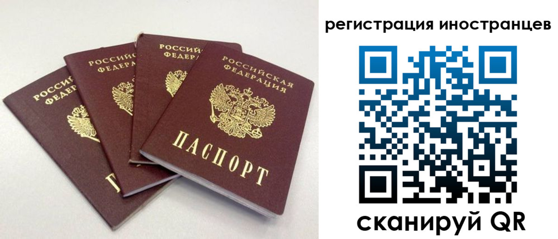 временная регистрация для школы в Лесном